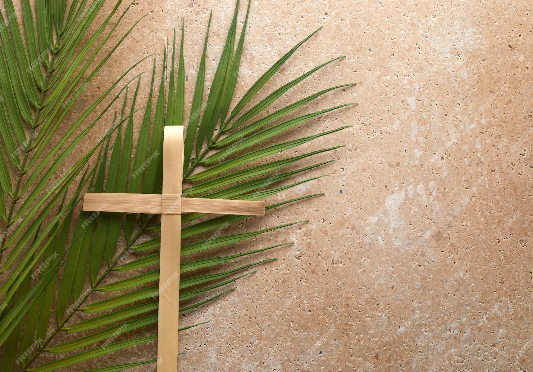 Palm Sunday 2