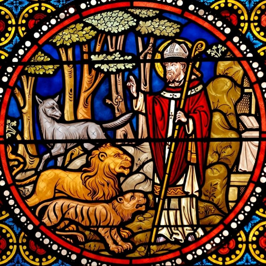 pexels-pixabay-76960